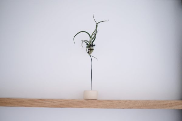 room detail air plant, boutique hotel in Serifos