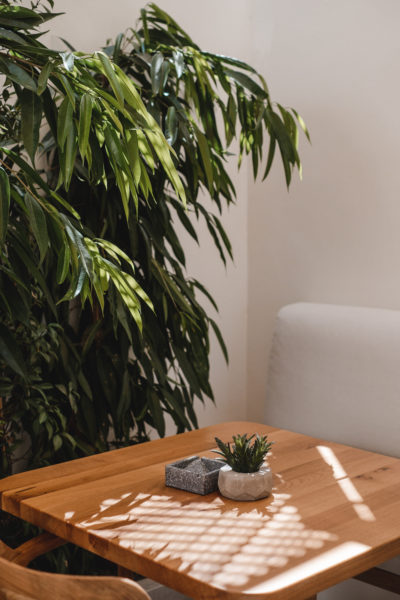 chill & co serifos restaurant